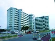 県営渡橋名団地